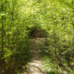Bank Siegsteig Etappe 8 Teil 1