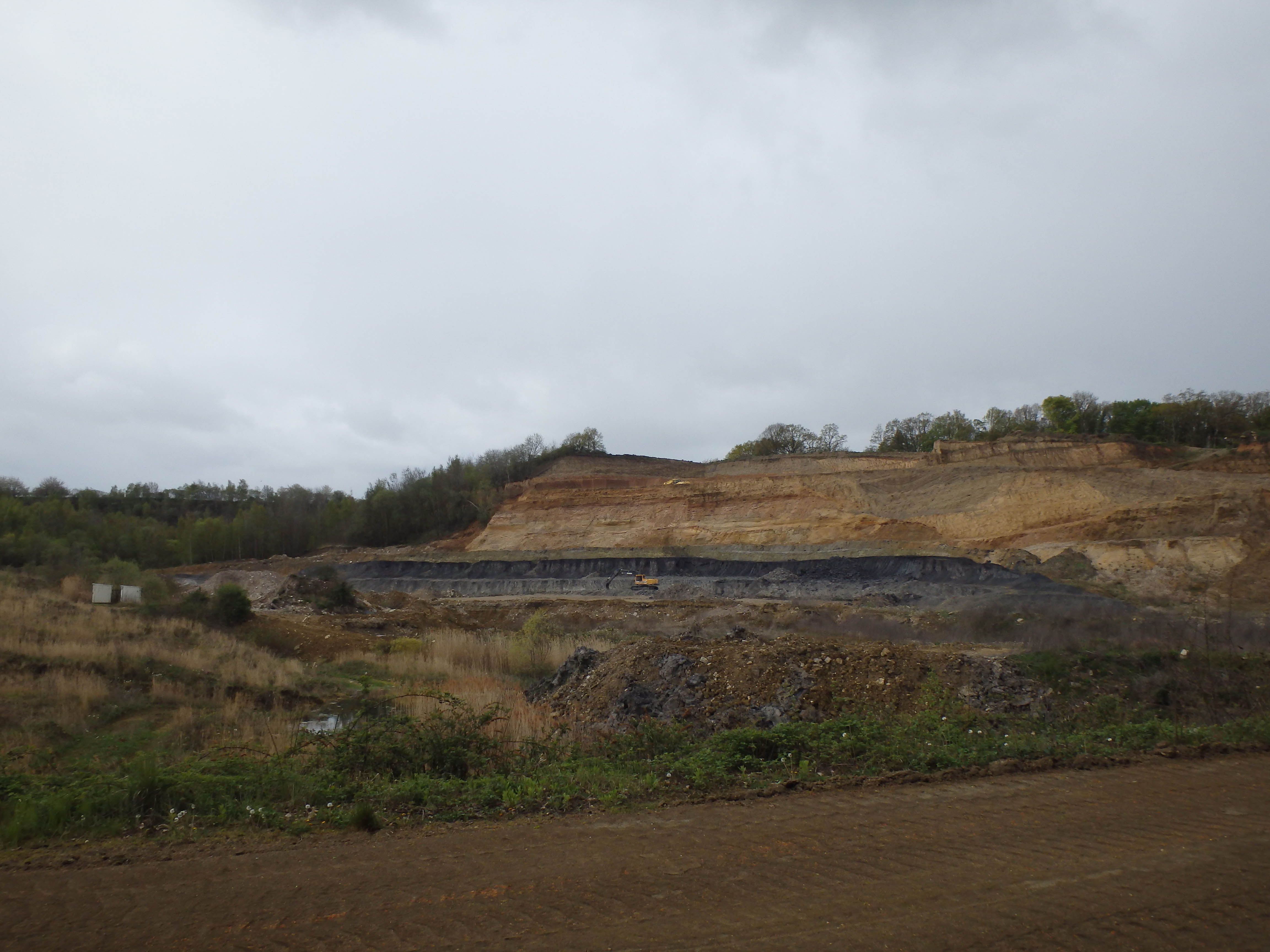 Wanderweg in Mülheim-Kärlich - Auf Wanderschaft!