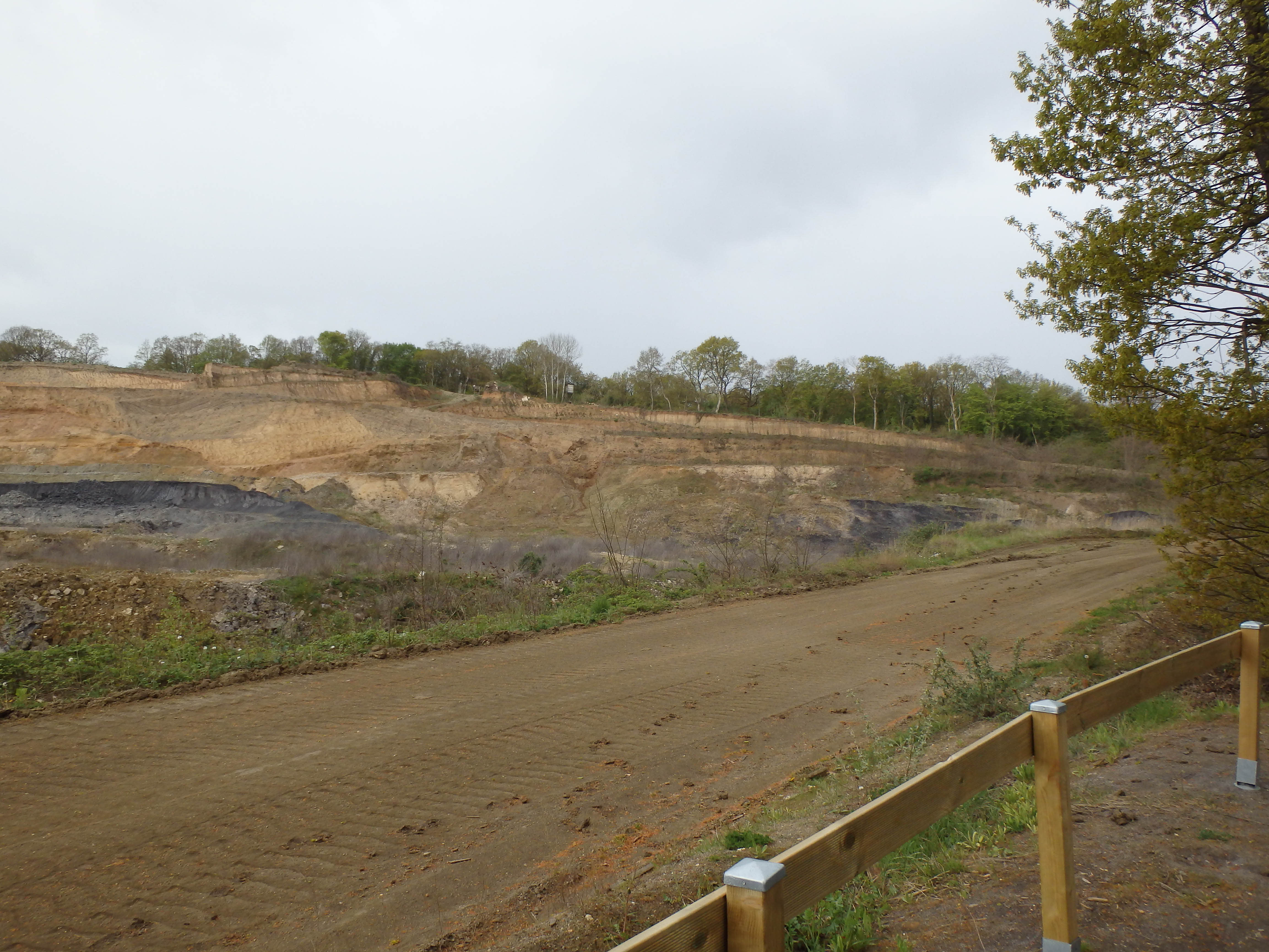 Wanderweg in Mülheim-Kärlich - Auf Wanderschaft!
