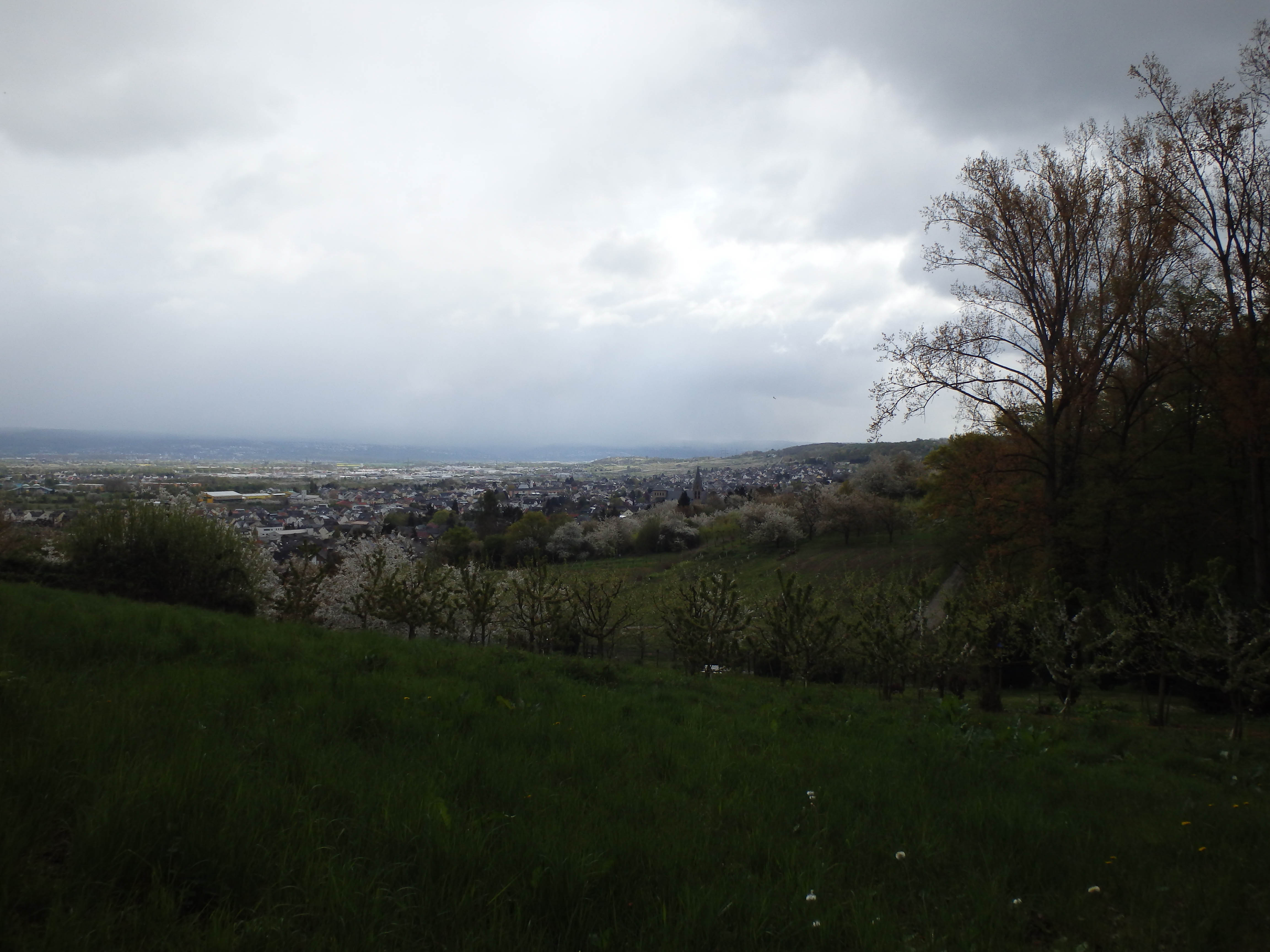 Wanderweg in Mülheim-Kärlich - Auf Wanderschaft!