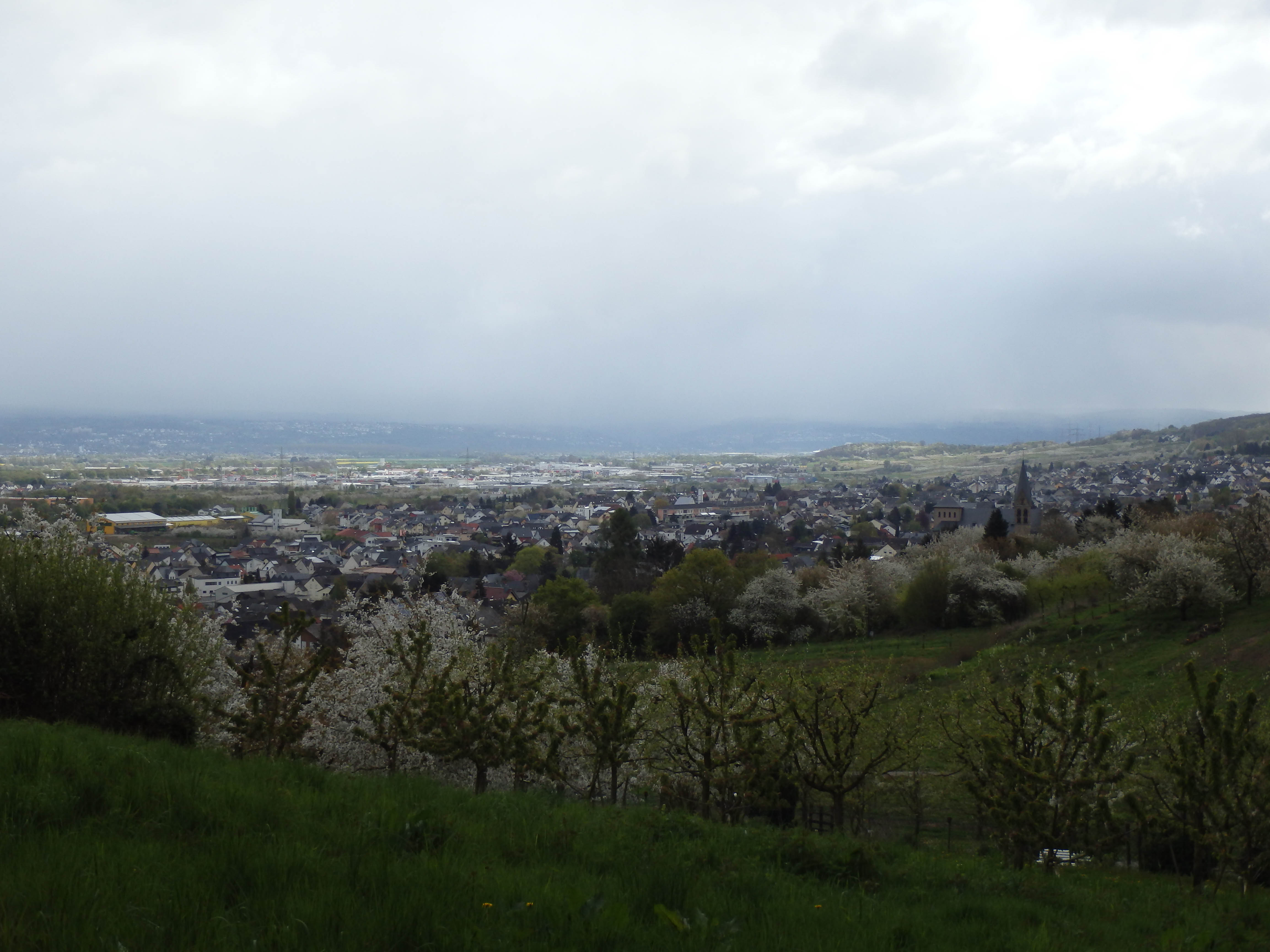 Wanderweg in Mülheim-Kärlich - Auf Wanderschaft!