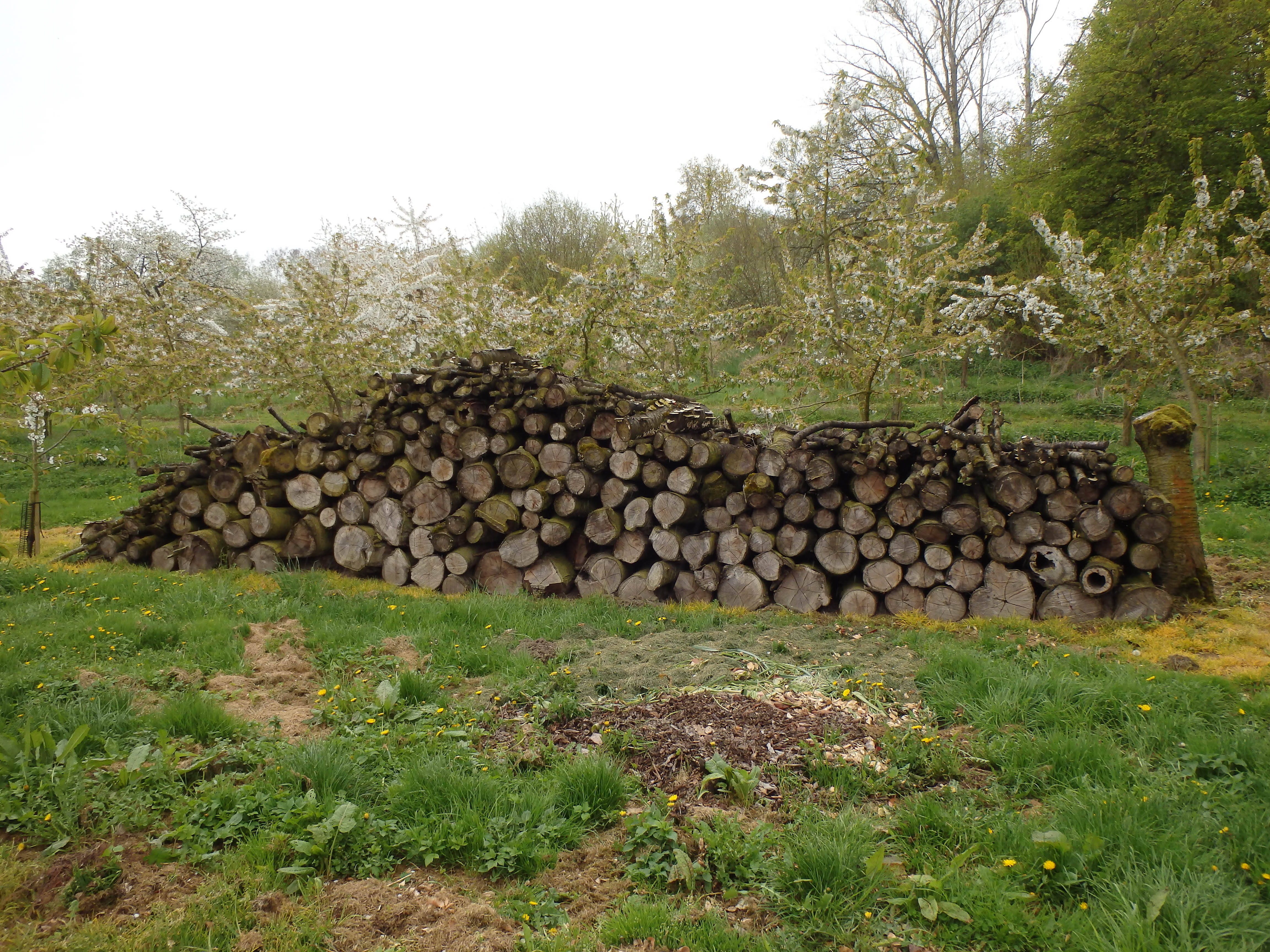 Wanderweg in Mülheim-Kärlich - Auf Wanderschaft!