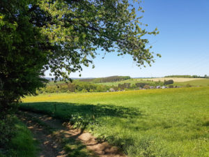 Siegsteig Etappe 6 Schleife um Herchen