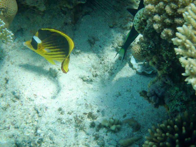 Urlaub Ägypten 2018