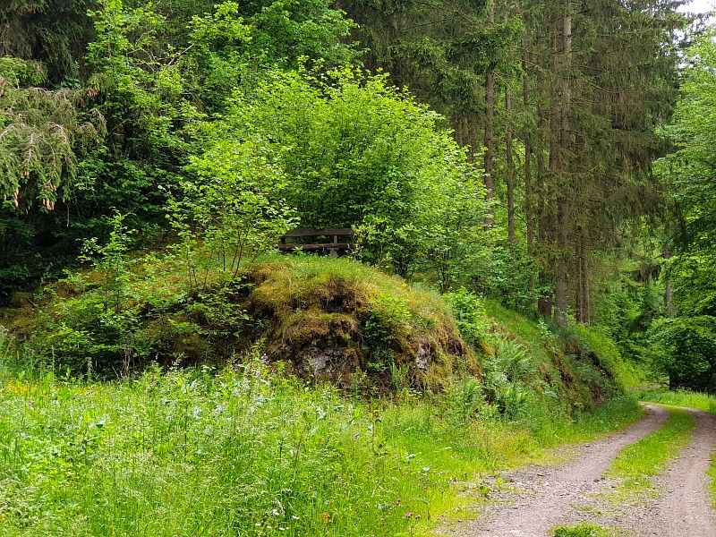 Traumpfad Virne-Burgweg