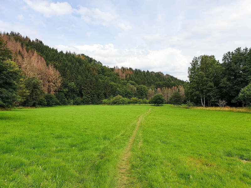 Siegsteig Etappe 13 von Alsdorf nach Kirchen