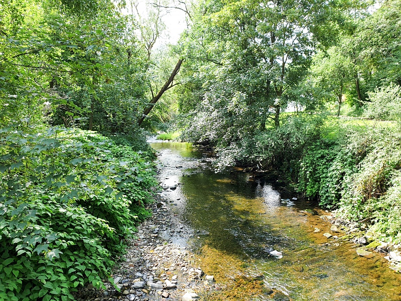 Siegsteig Etappe 13 von Alsdorf nach Kirchen