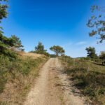 Traumpfad Wanderather